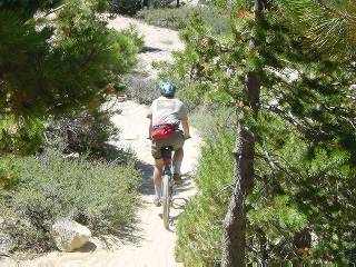 Down the Flume Trail