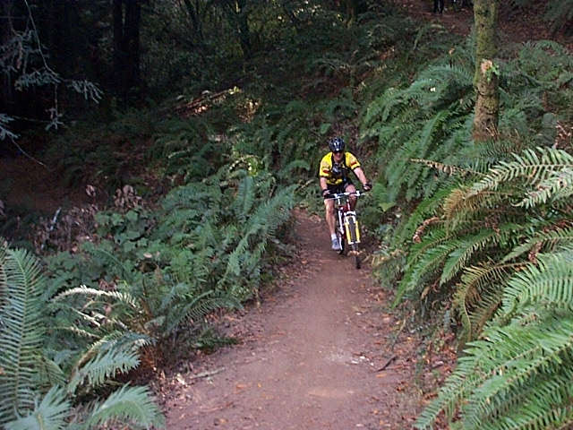 Rick Oswald rides through Old Cabin trail