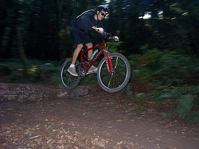 soaring through Enchanted Loop