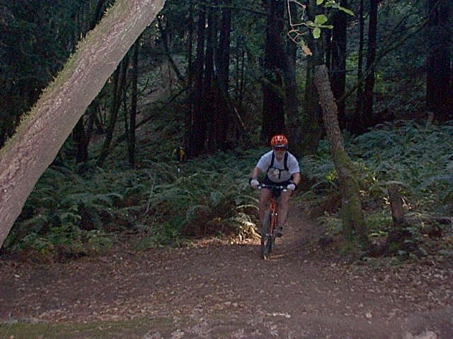 Rick Burrows sneaking out of the woods