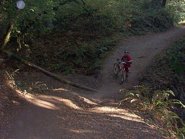 Chuck is walking again