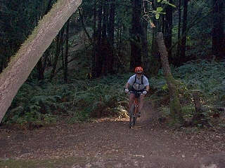 Rick Burrows sneaking out of the woods